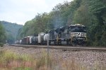 NS 7229